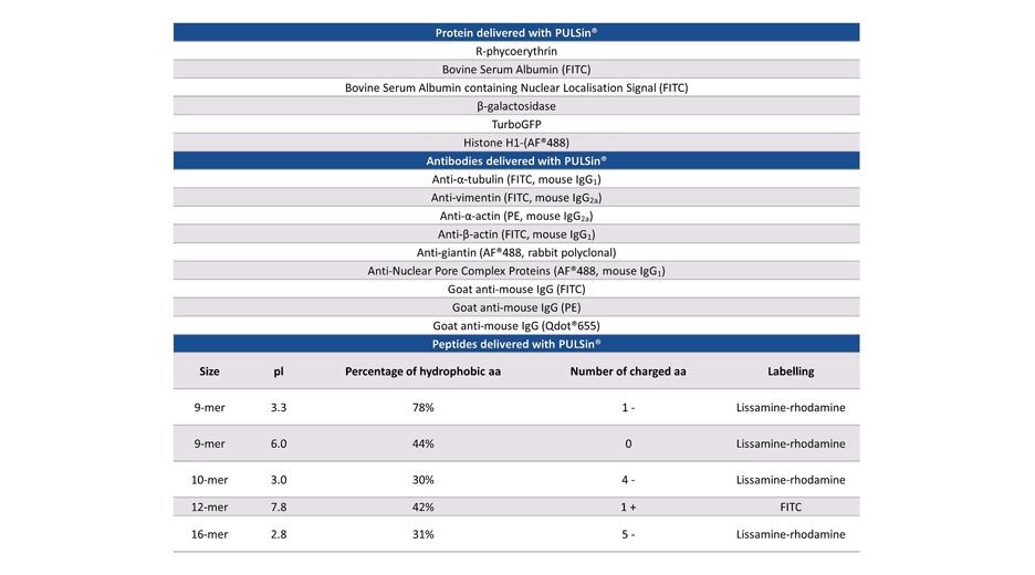 (55-141) PULSin 0.4mL With Hepes Buffer (20mM) 400 µl/unit