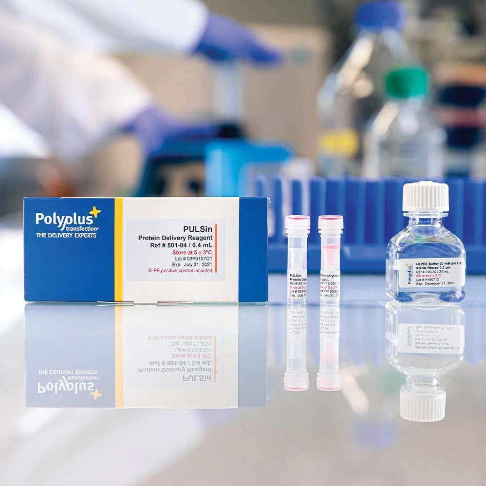 (55-141) PULSin 0.4mL With Hepes Buffer (20mM) 400 µl/unit