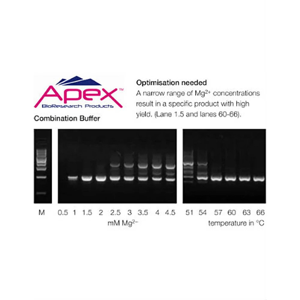 (42-301) Apex 10X Buffer II, with MgCl2 Balanced [KCl/NH4] 3 x 1.5ml/Unit
