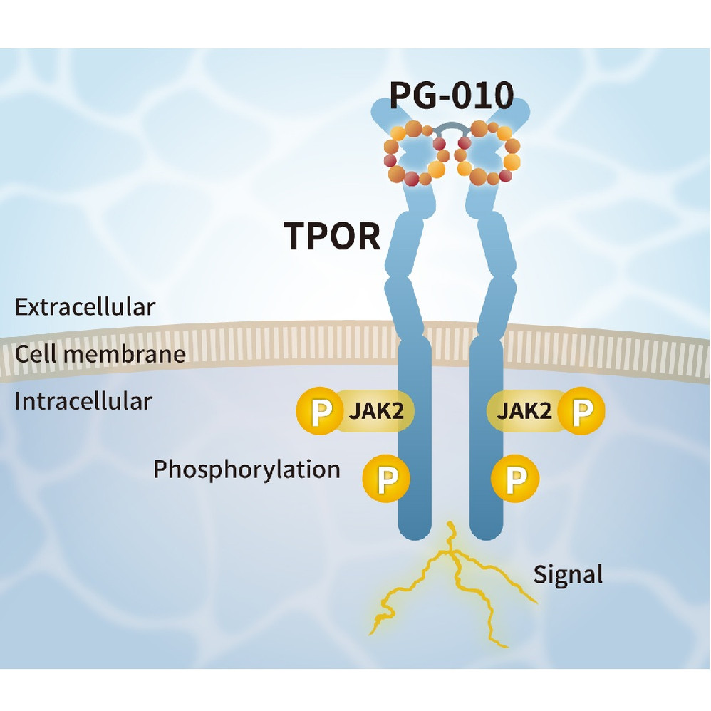 (25-341) TPO alternative peptide TPOR agonist 10 µg/Unit