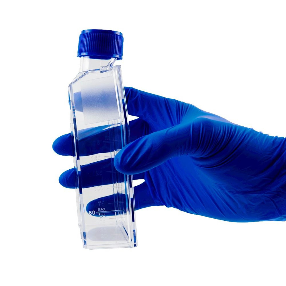GenClone 25-157 GenClone 25-157 3D Cell Culture Flasks, Growth Area: 75.0cm2, Ultra-Low Adsorption Surface, 1/Bag, 60 Flasks/Unit, Ultra-Low Adsorption Surface, 1/Bag, 60 Flasks/Unit Tertiary Image