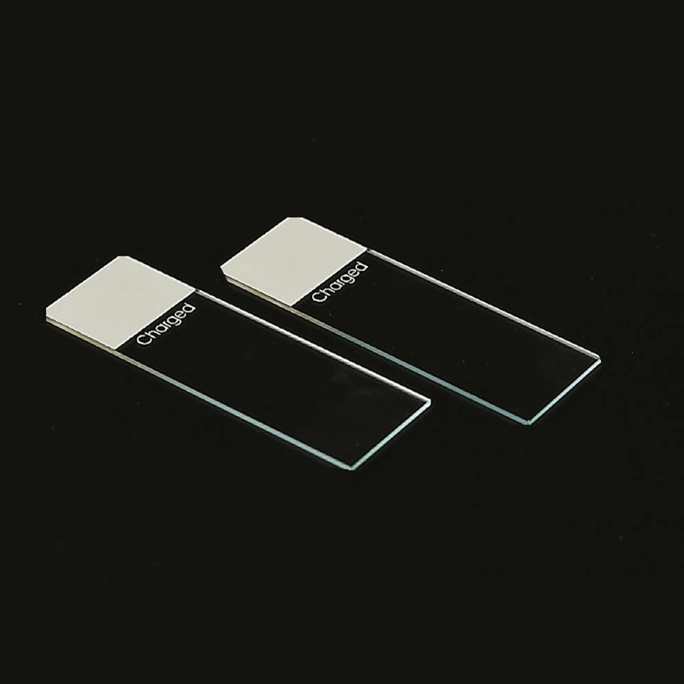 (29-108) Charged Slides, Beveled Adhesive, Beveled Edges 2 Boxes of 72 (1 Gross)/Unit