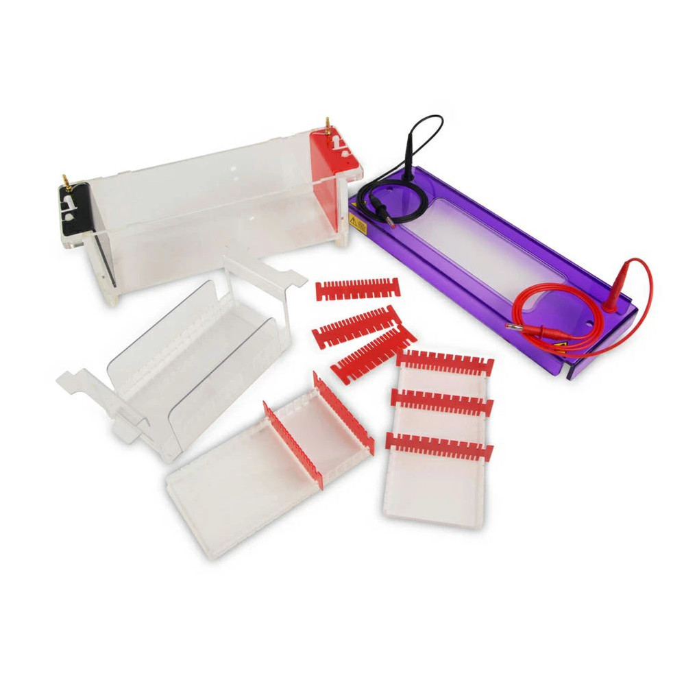 (45-116) MultiSUB4, multi-level Gel Chamber with external caster for 4 gel 1 Gel Box/Unit