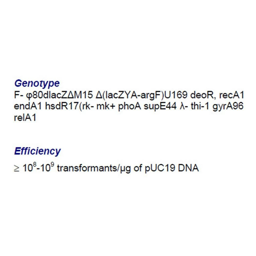 (42-652MG) Gene Choice® GC5 Mix & Plate Competent Cells GC5 Chemically Competent Cells 10 x 100ul/Unit