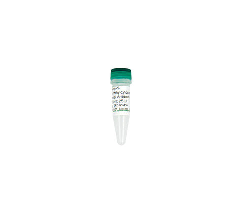 (11-529) Anti-5-Hydroxymethylcytosine Polyclonal Antibody 50ug/Unit