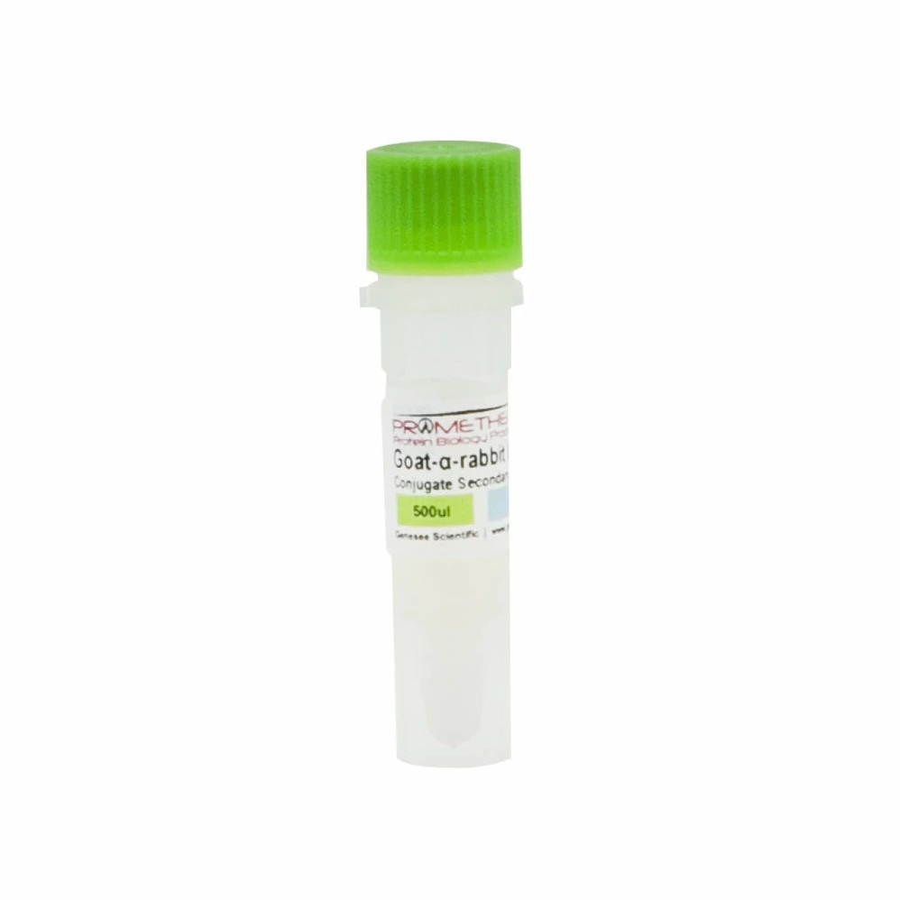 (20-303) Goat-anti-rabbit HRP Secondary antibody 500ul/Unit