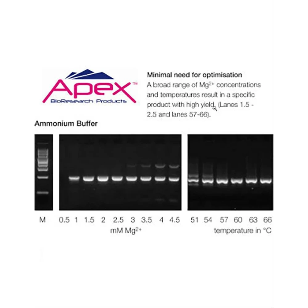 (42-300) PCR Buffer I, Mg Free 10X, Ammonium Rxn Buffer 3 x 1.5ml/Unit