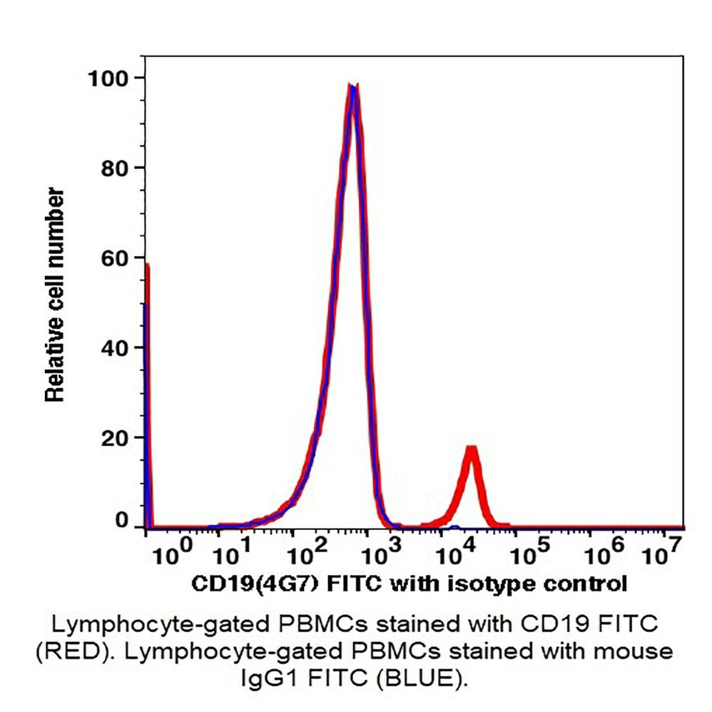 (55-819EB) CD19 FITC Antibody Clone 4G7, Mouse IgG1,k 100 Tests/Unit