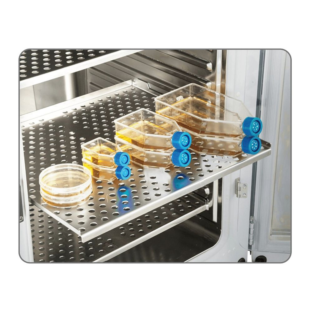 (79-600) CO2 Incubator 80L 220V, 50Hz 1 Incubator/Unit