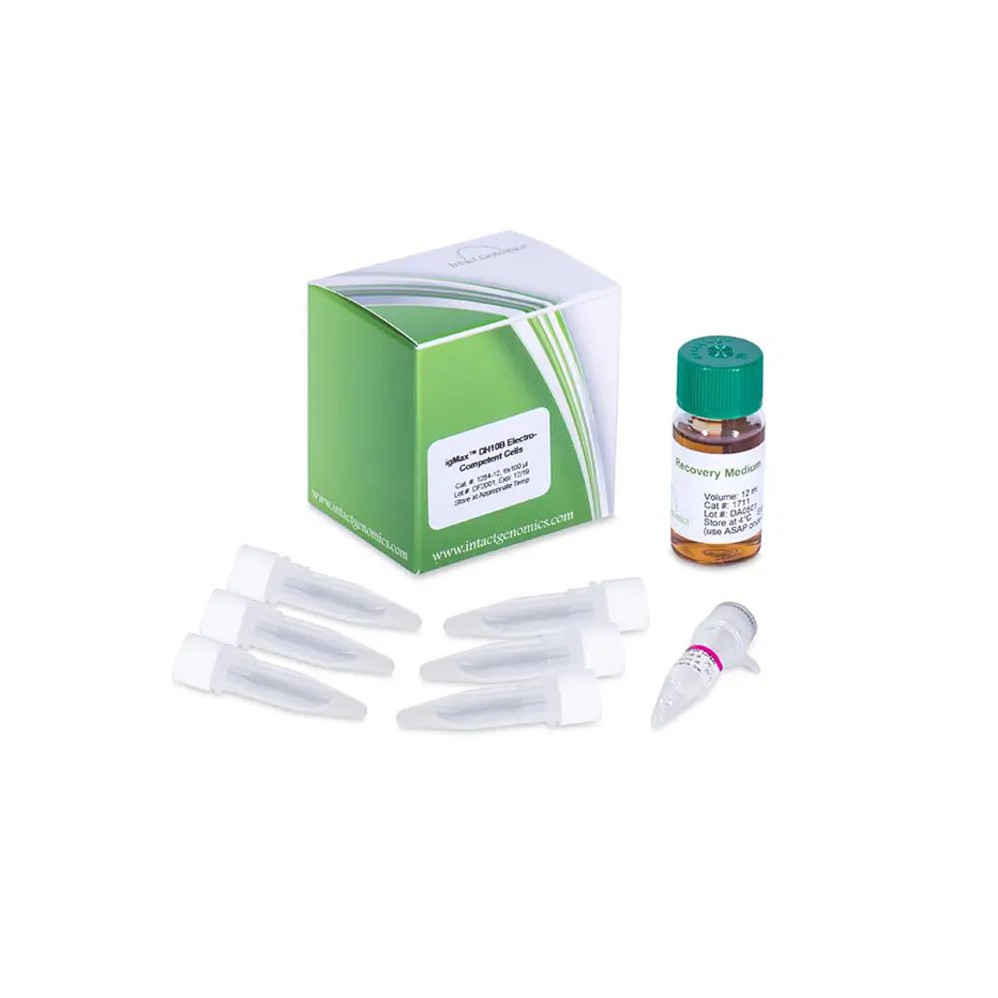 (13-037) igMax™ DH10B Electrocompetent Cells 6 x 100µl/Unit