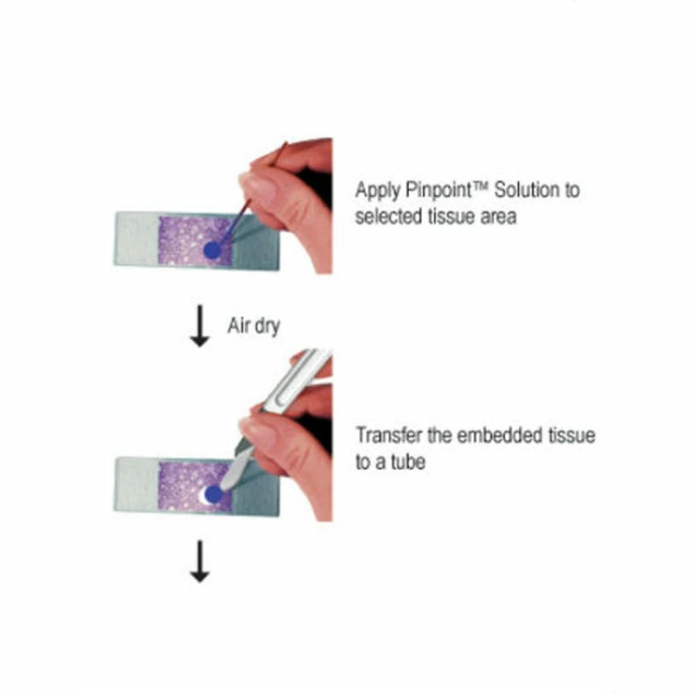 (11-393) Pinpoint Slide DNA Isolation S Zymo Research 50 Preps/Unit