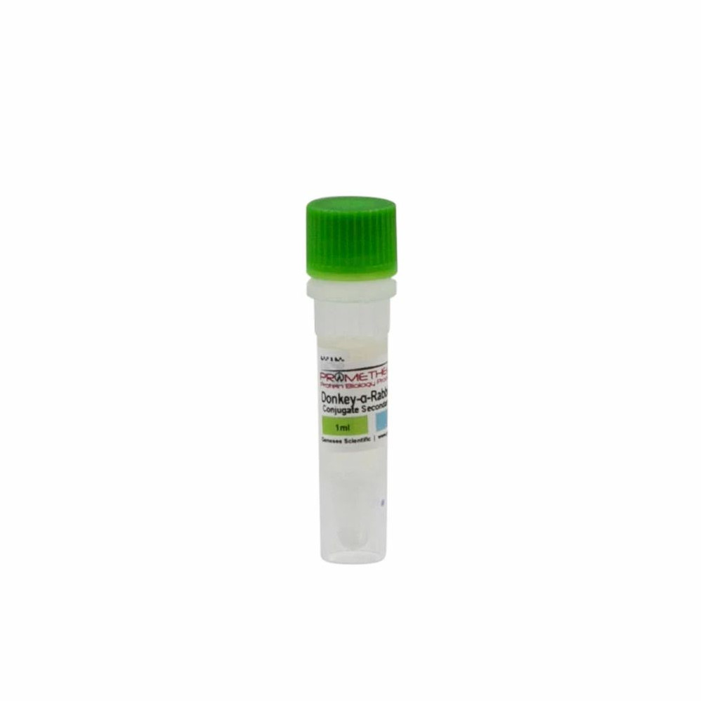 (84-854) Donkey anti-Rabbit IgG, HRP-Linked Whole Ab from Donkey 1ml/Unit