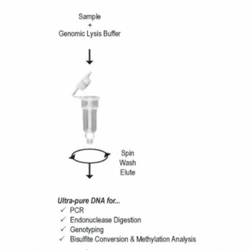 (11-317MD) Quick-DNA MidiPrep Plus Kit Uncapped Columns 25 Preps/Unit