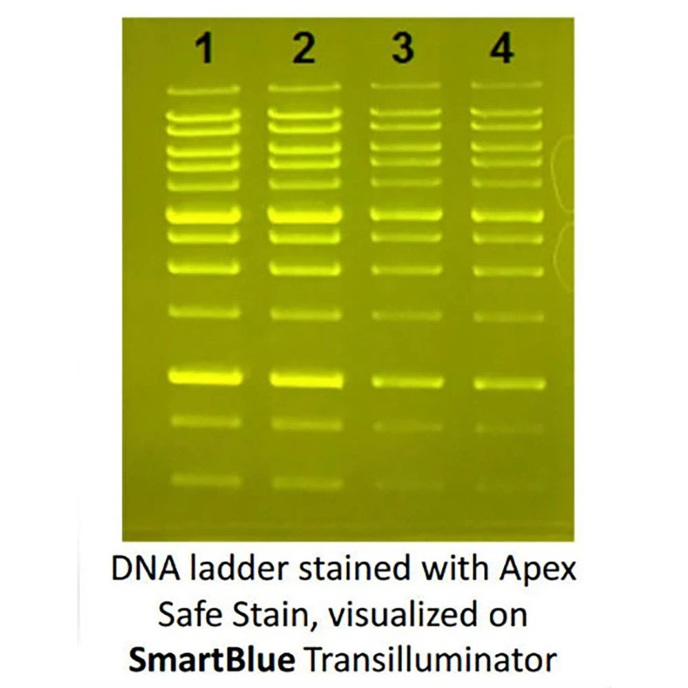 (20-278) Apex Safe DNA Gel Stain 20,000x, In Water 1.0ml/Unit