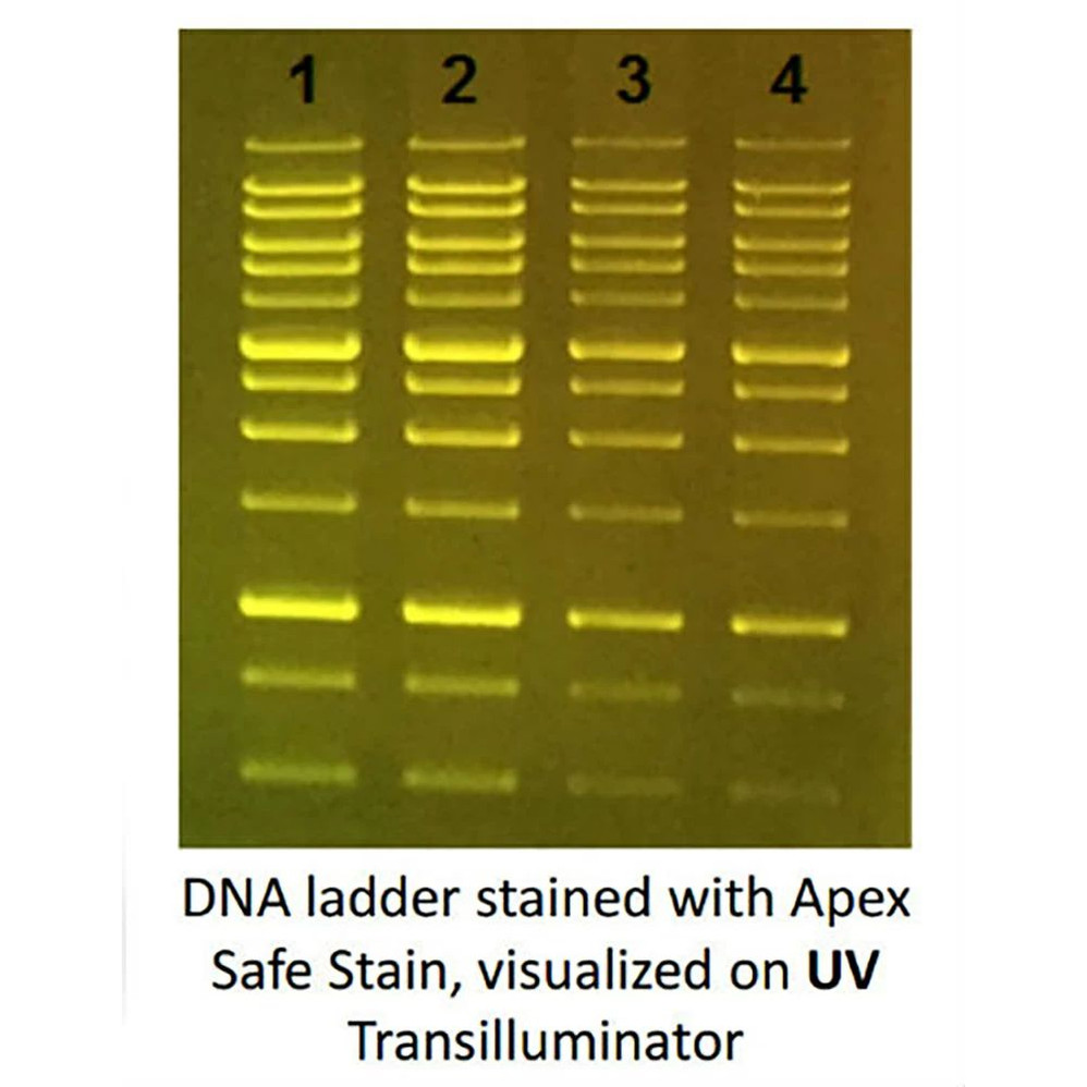 (20-278) Apex Safe DNA Gel Stain 20,000x, In Water 1.0ml/Unit
