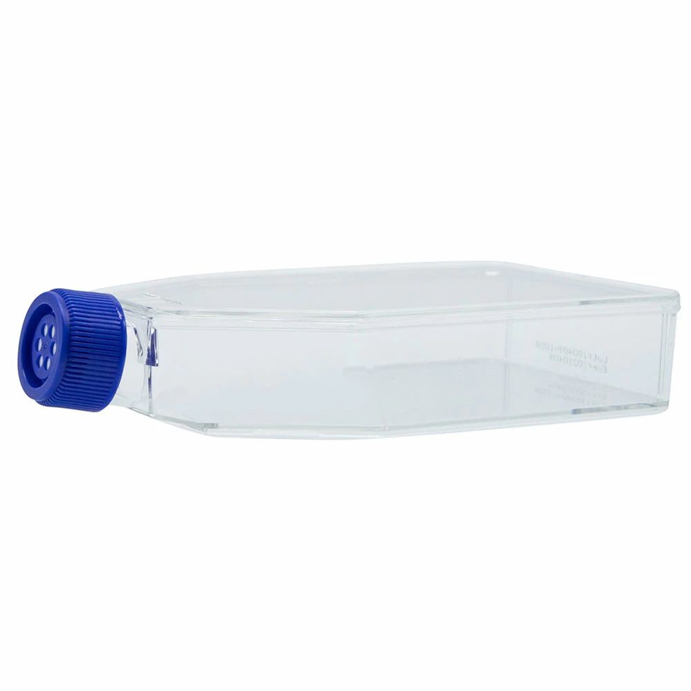 GenClone® Cell Culture Flasks