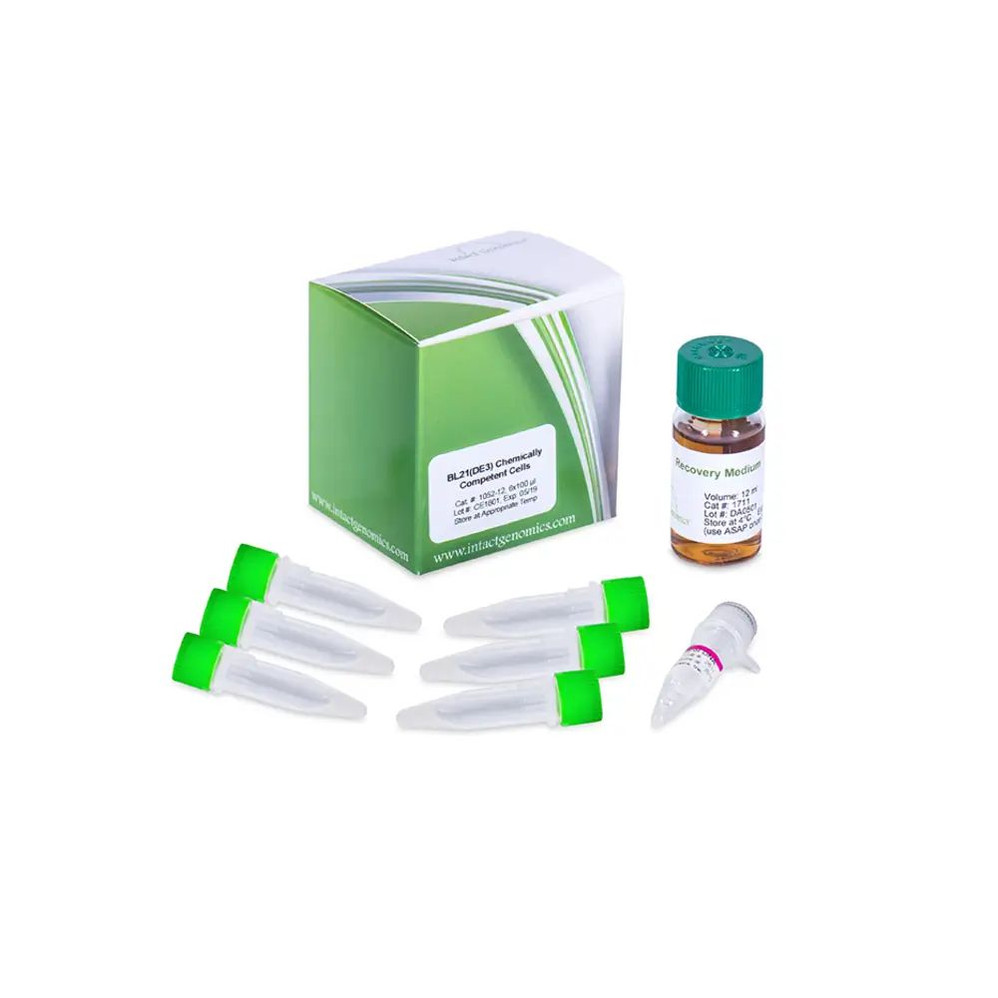 BL21(DE3) Competent Cells