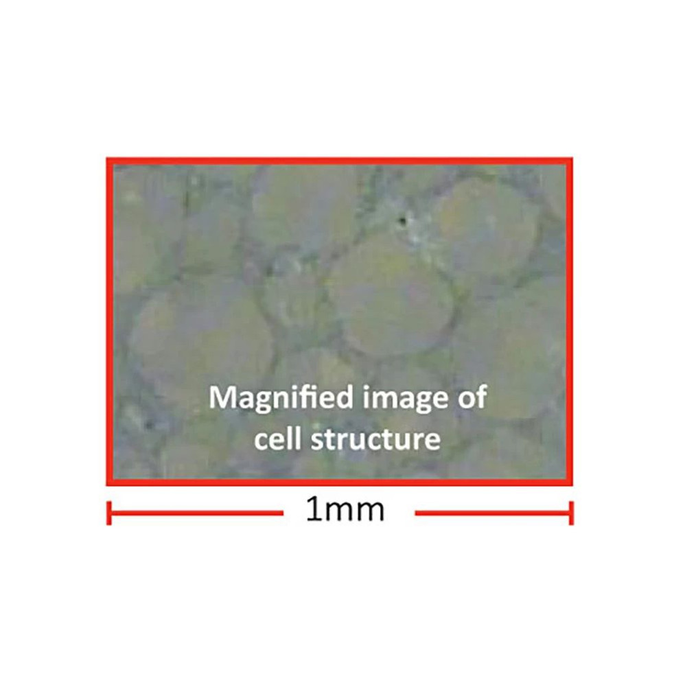 Droso-Plugs® Drosophila Closures