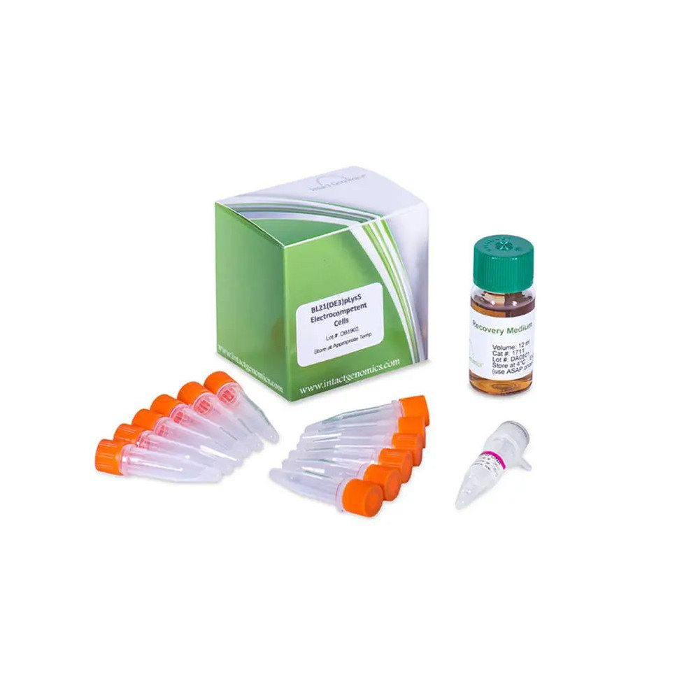 BL21(DE3) pLysS Competent Cells