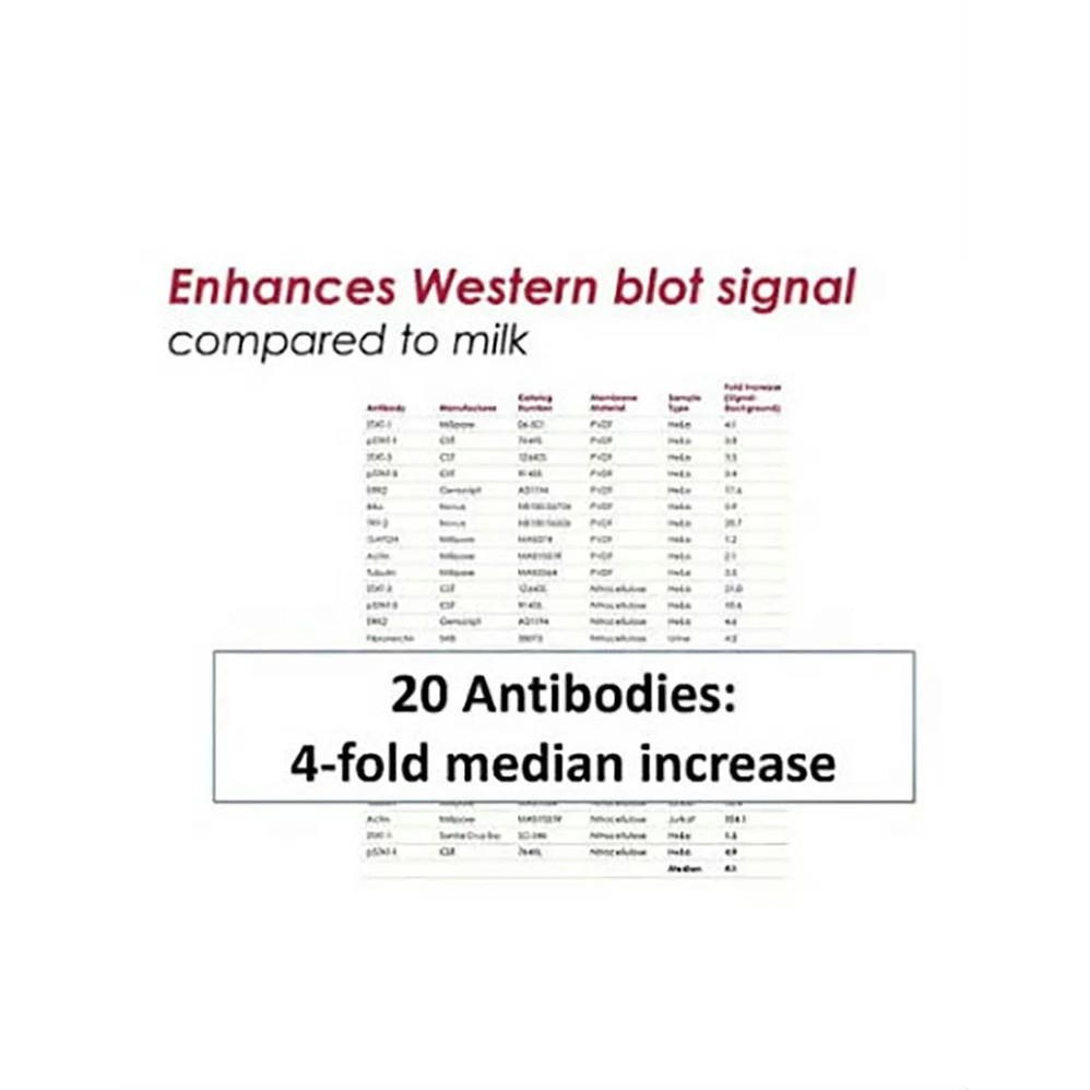 (20-313) OneBlock™ Western-CL Blocking Buffer Enhancing & blocking solution 1000ml/Unit