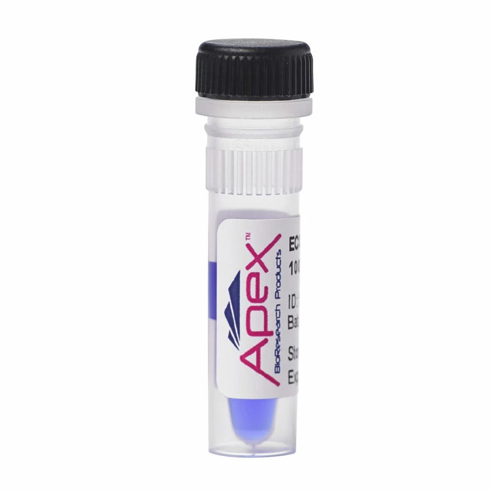 Apex Economical Mini DNA Ladders