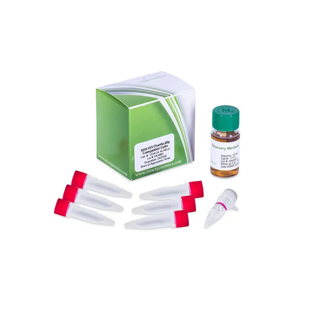 EHA105 Agrobacterium Competent Cells