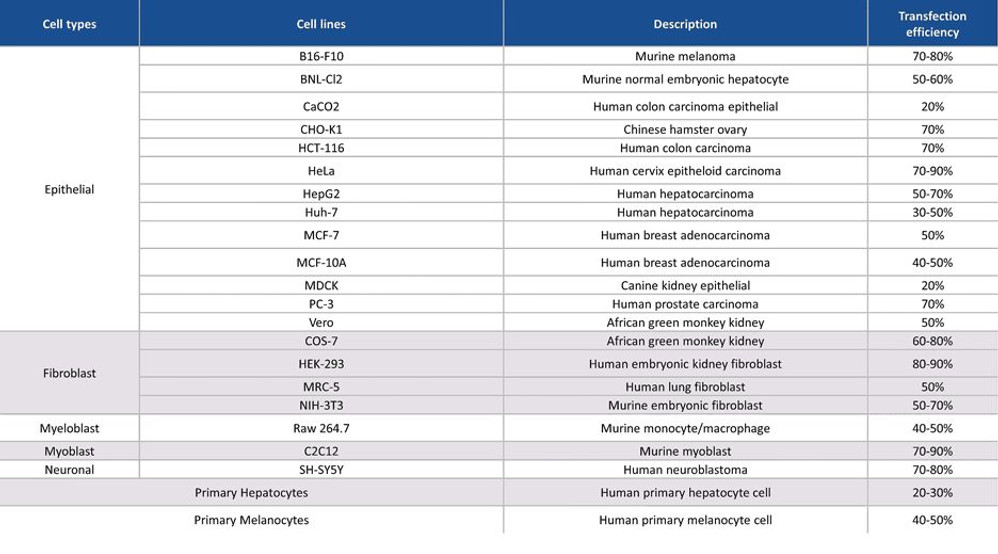 jetPRIME® DNA and siRNA Transfection Reagent