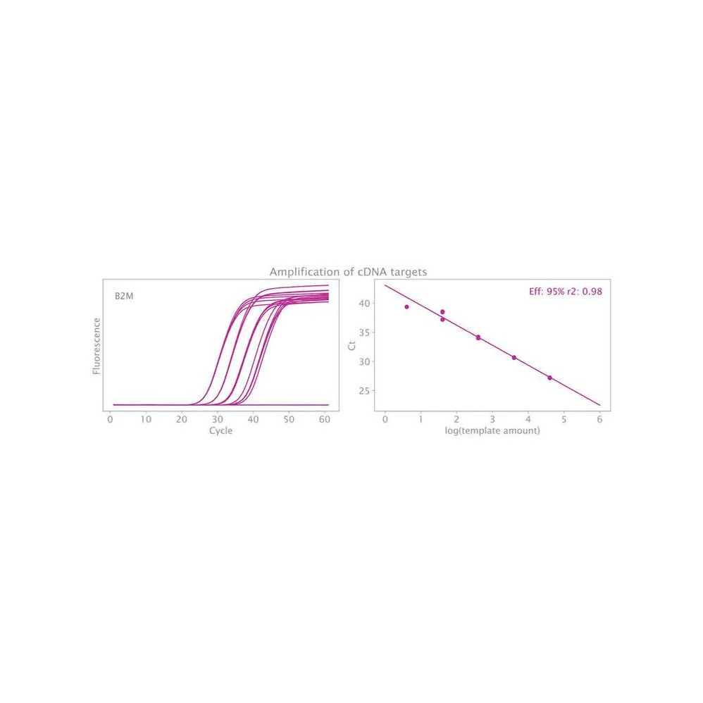 Clara® Probe 1-Step Mix AquaPlex