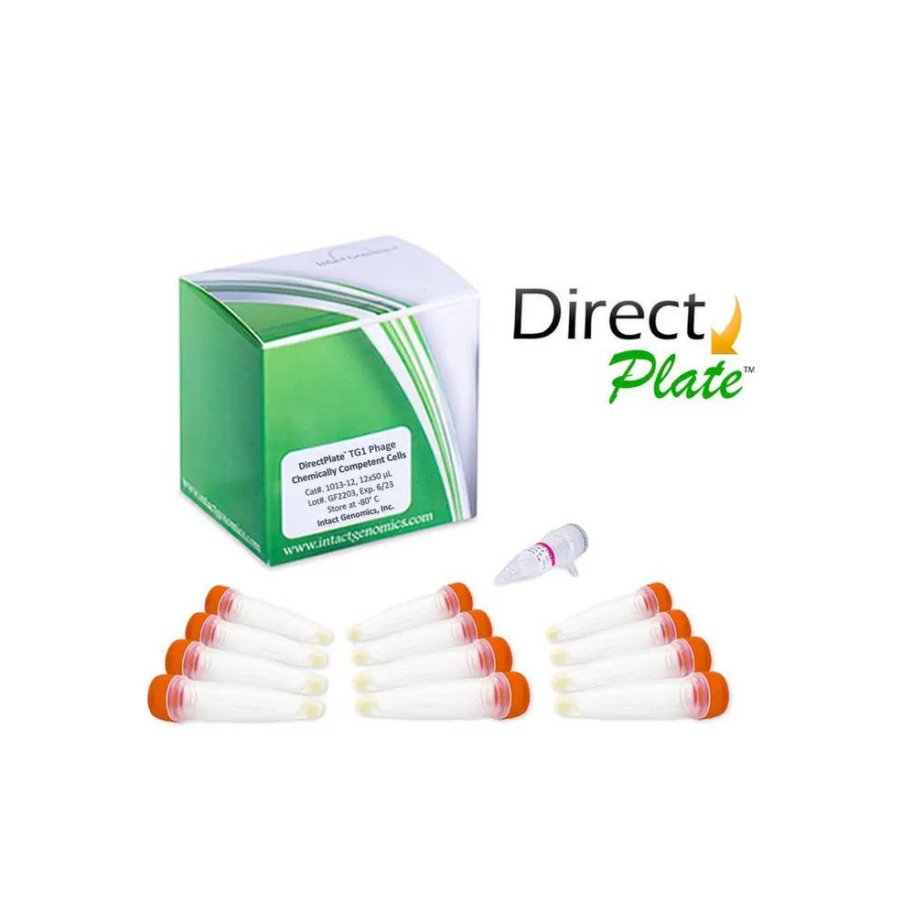 DirectPlate® TG1 Phage Display Chemically Competent Cells
