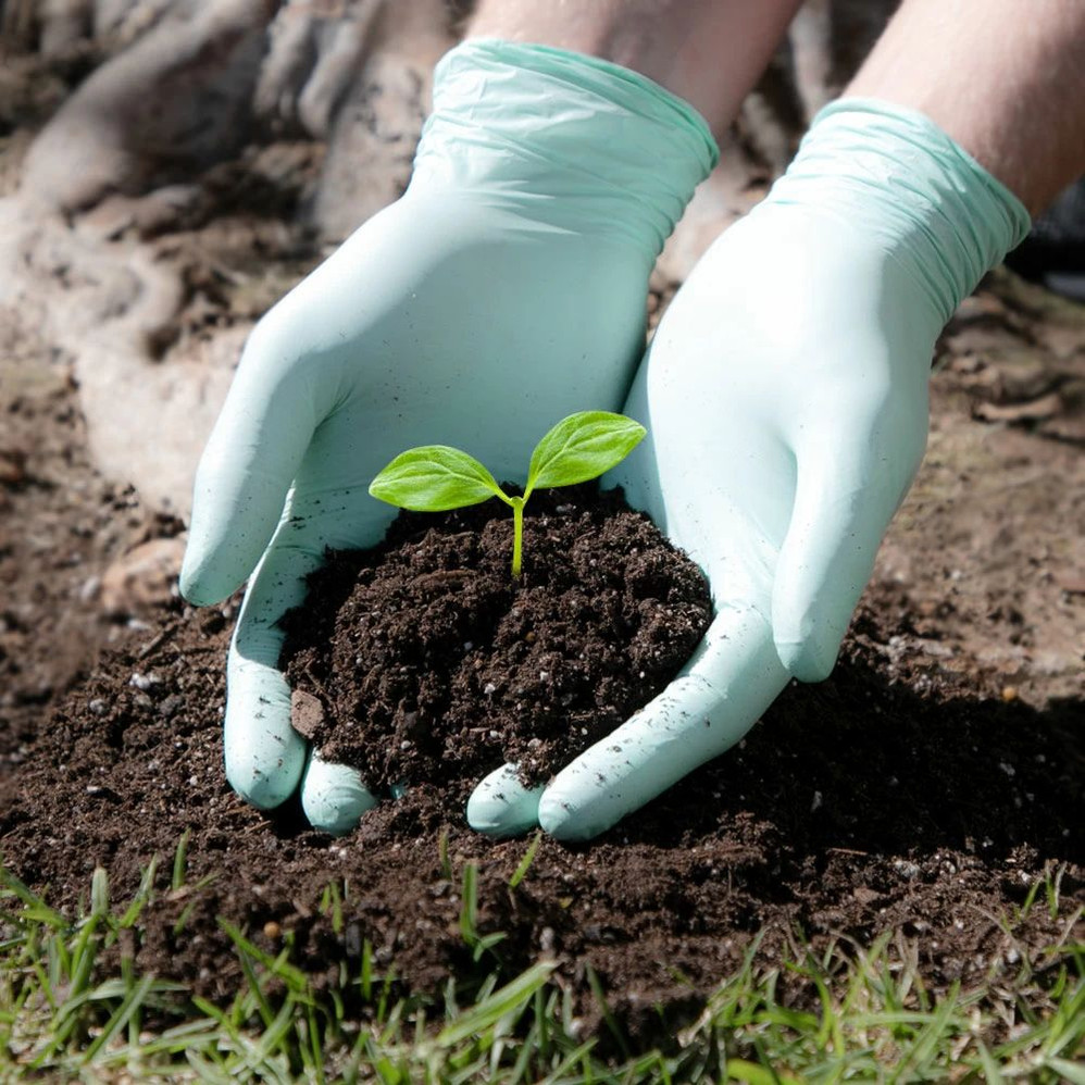 T-GEN Biodegradable Nitrile Gloves, Powder-Free