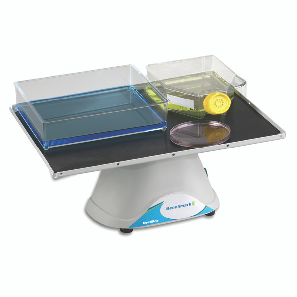 Benchmark Scientific BlotBoy 3D Rocker