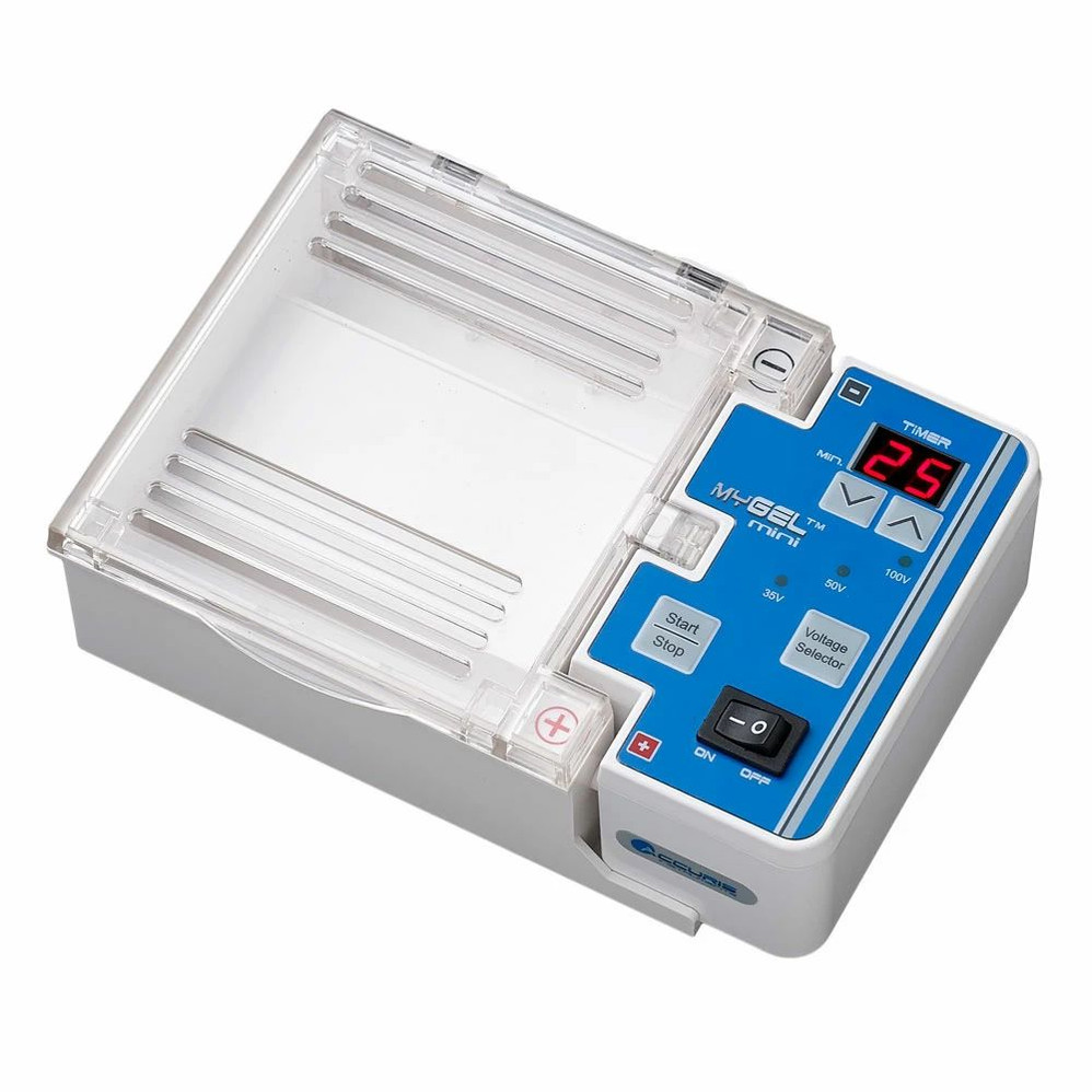 myGel Mini Electrophoresis System