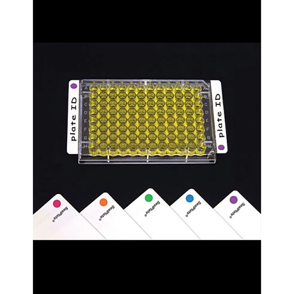 SealPlate® Sealing Film, Color Tab