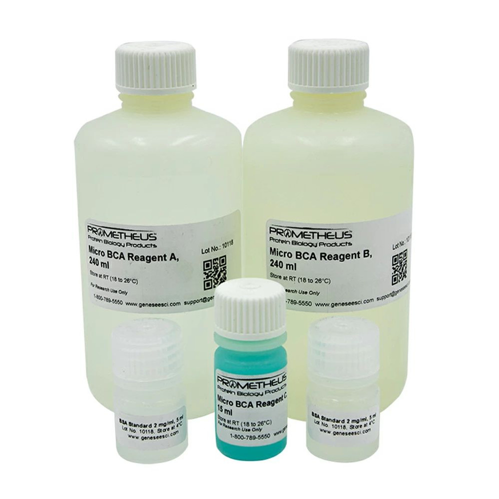 Micro BCA Protein Assay Kit 
