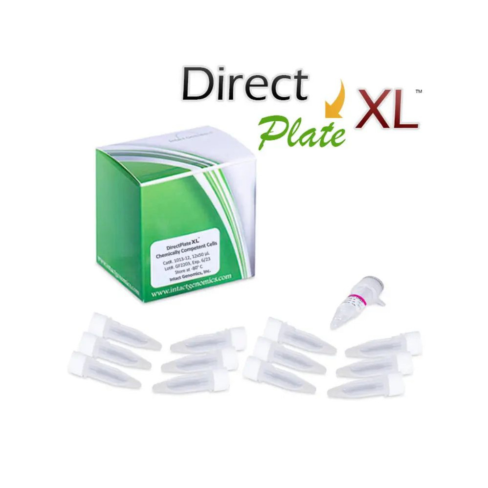 DirectPlate XL™ DH10B Chemically Competent Cells