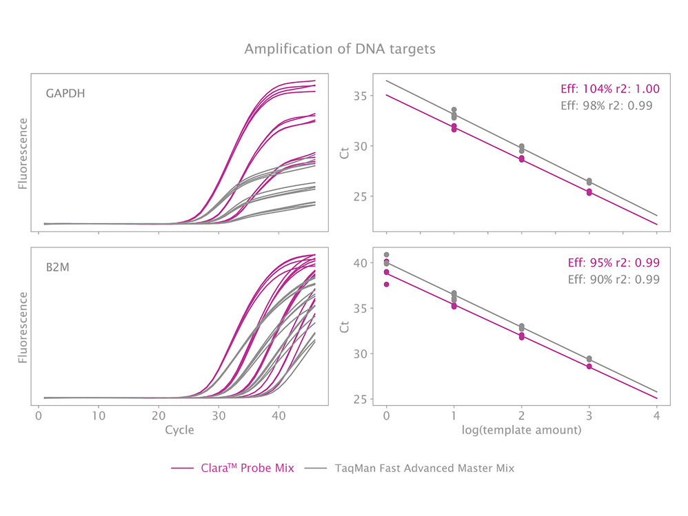 Clara™ Probe Mix Lo-ROX