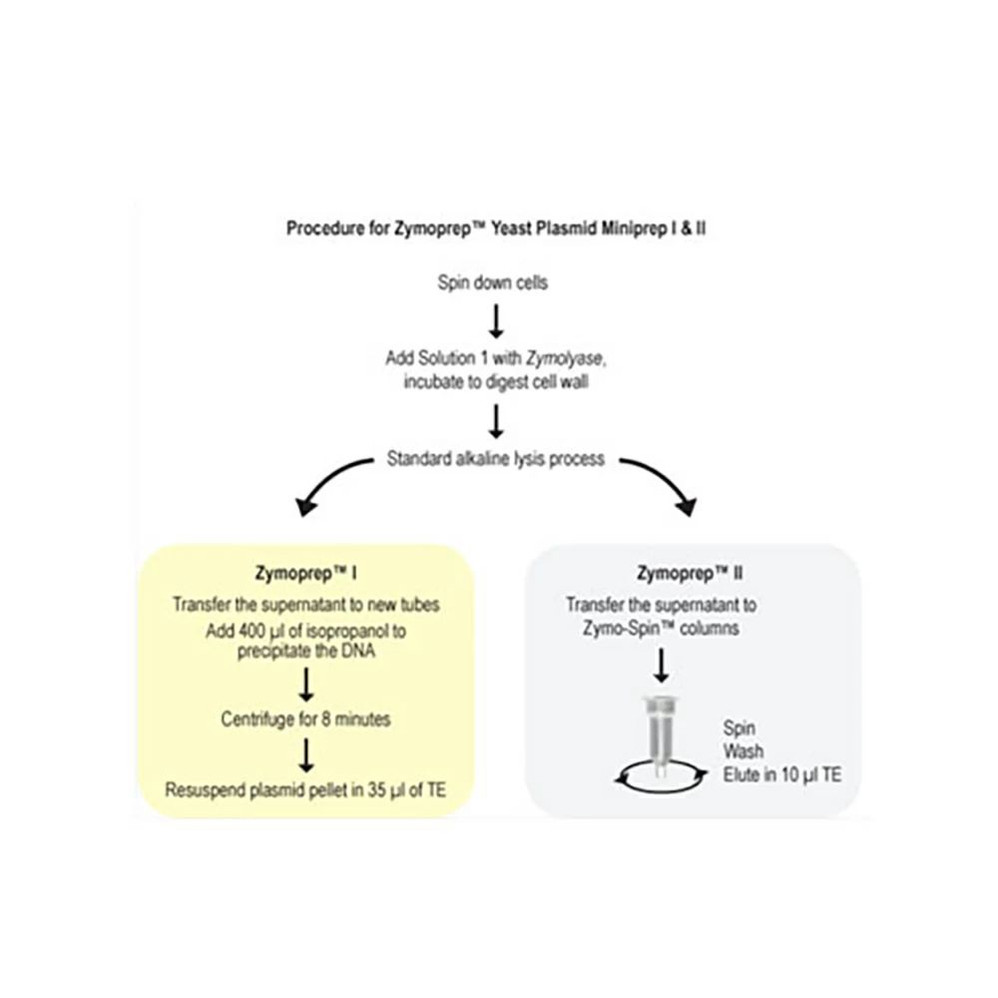 Zymoprep Yeast Plasmid Miniprep I & II Kits