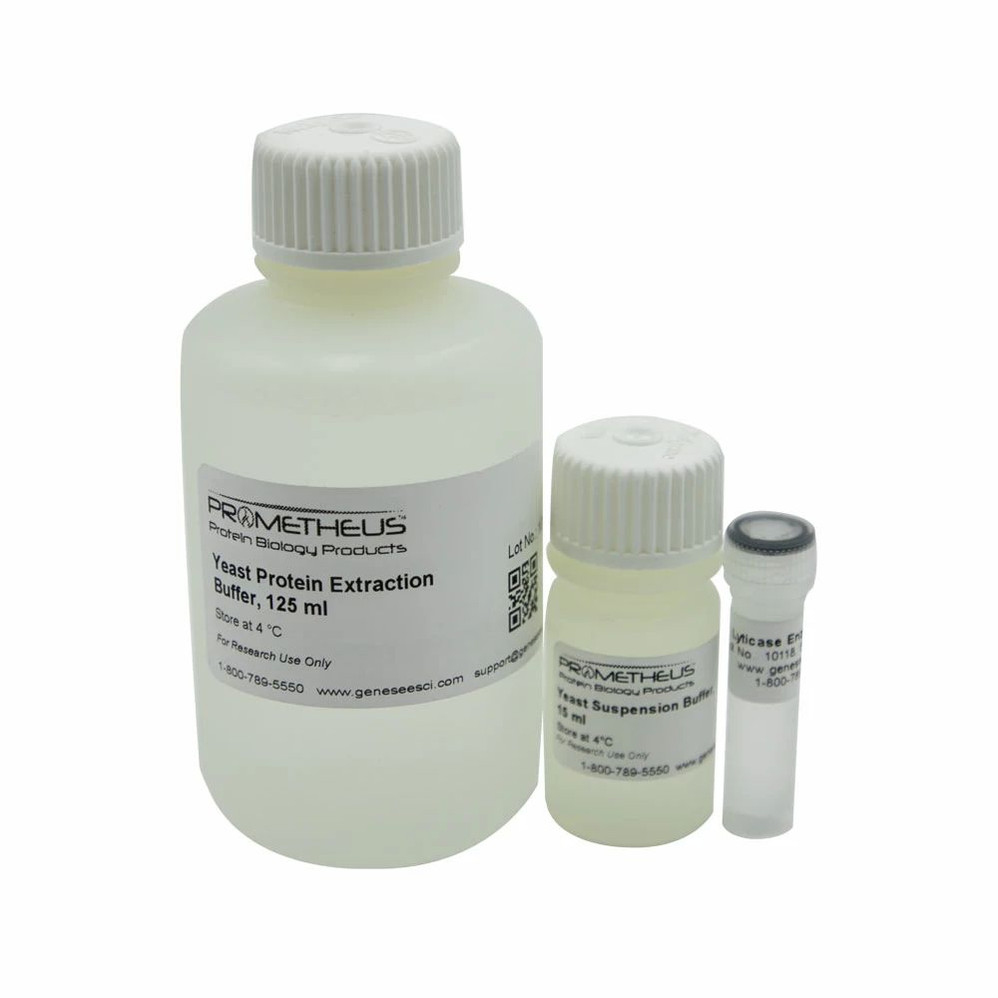 Yeast Protein Extraction Kit with Lyticase