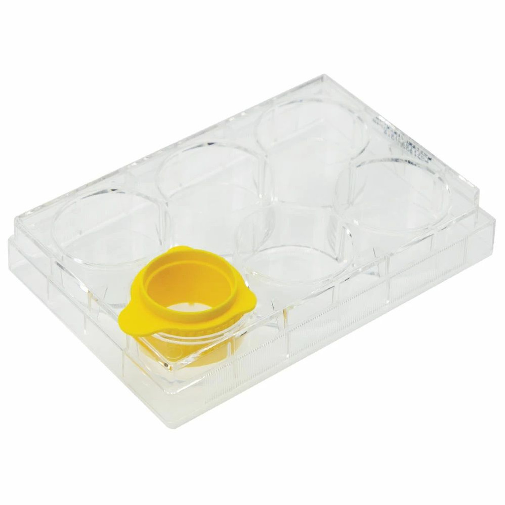GenClone® Advanced Cell Strainers