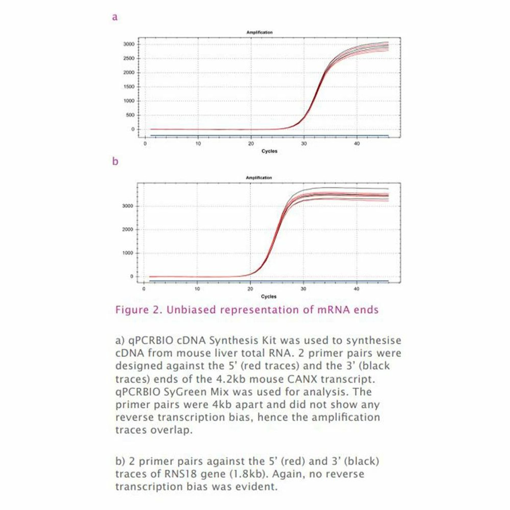 UltraScript® cDNA Synthesis Kit