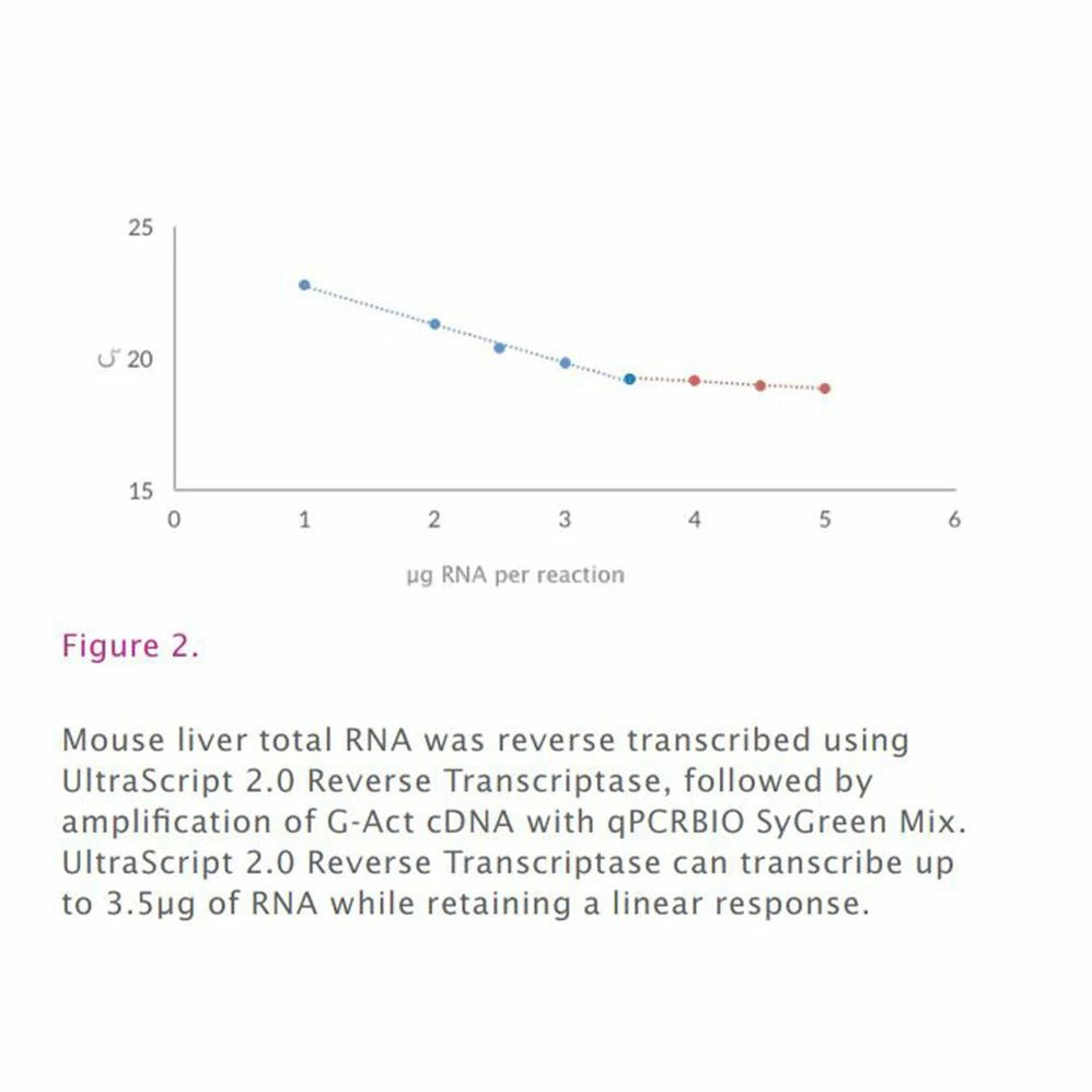 UltraScript® 2.0 cDNA Synthesis Kit, Separate Oligos