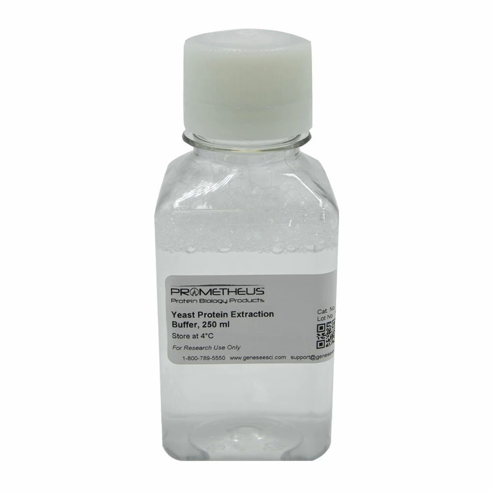 Yeast Protein Extraction Buffer