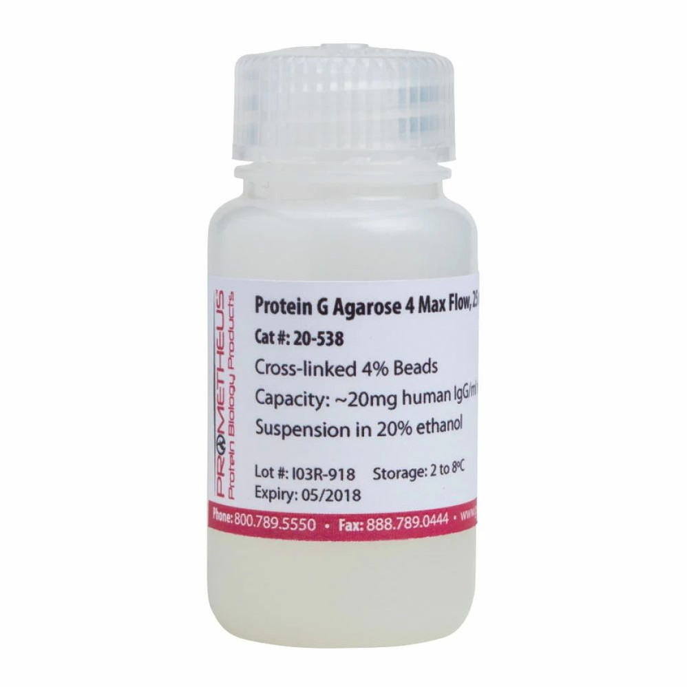 Protein G Agarose 4 FF Highly Cross-linked Beads, 4%