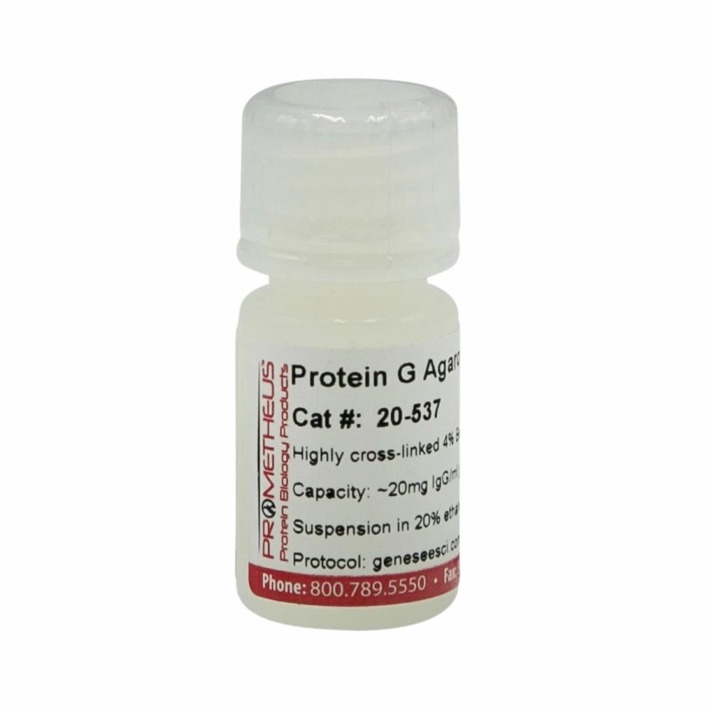 Protein G Agarose 4 FF Highly Cross-linked Beads, 4%