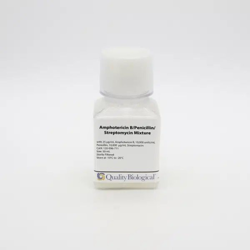 Amph B/Pen/Strep Mixture