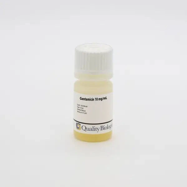 Gentamicin 10 mg/mL Ready-to-use solution
