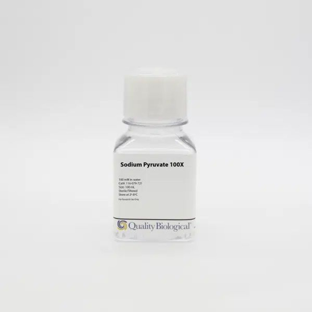 Sodium Pyruvate 100X, 100mM