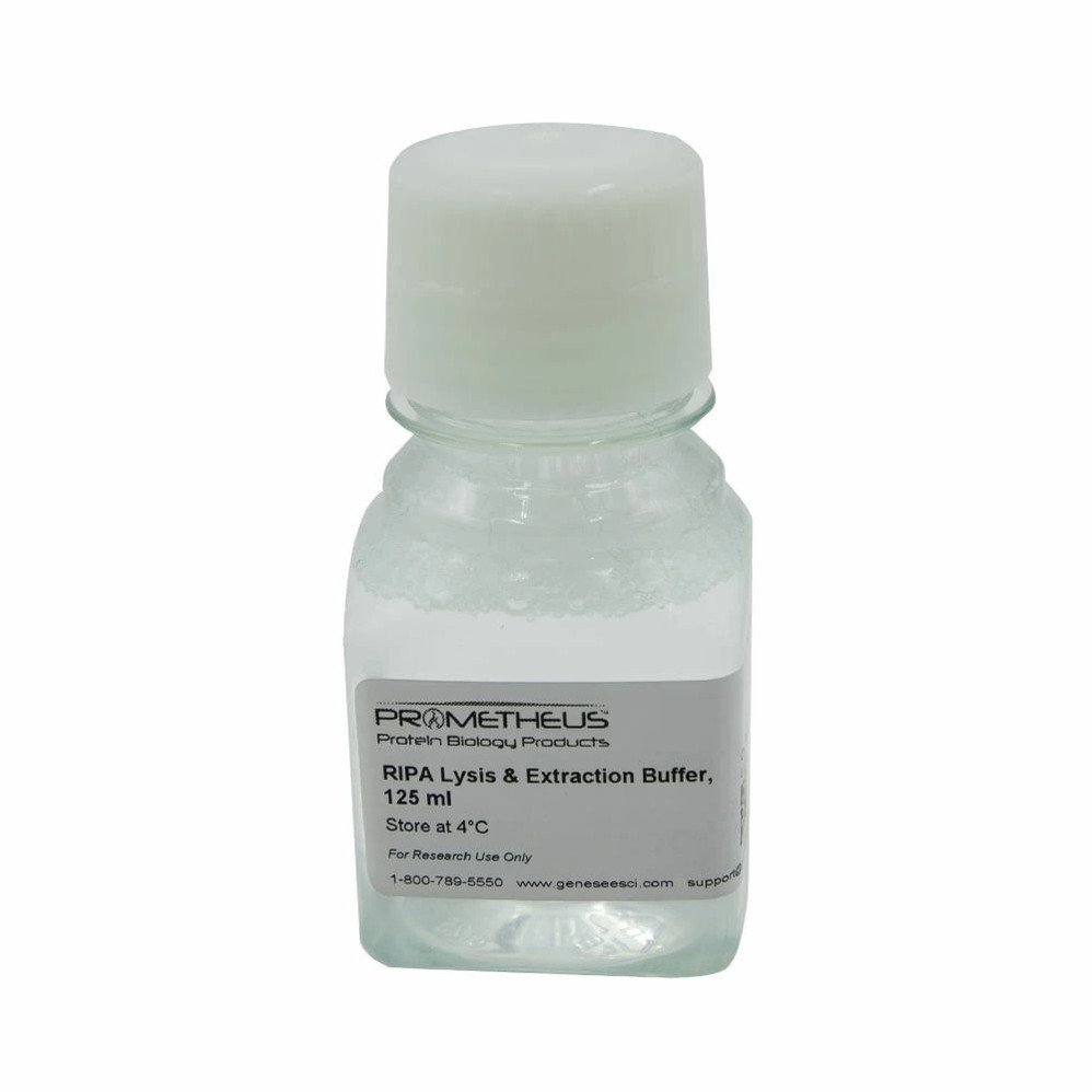 RIPA Lysis & Extraction Buffer