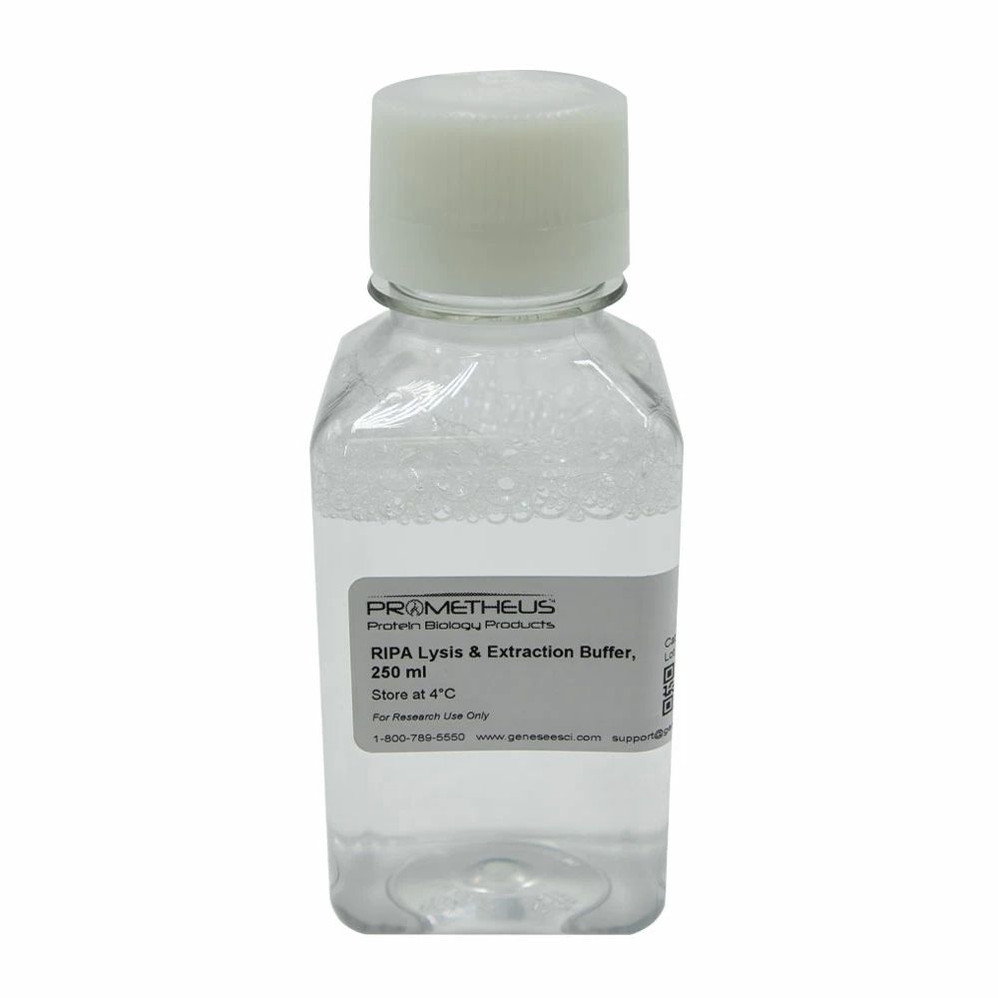 RIPA Lysis & Extraction Buffer