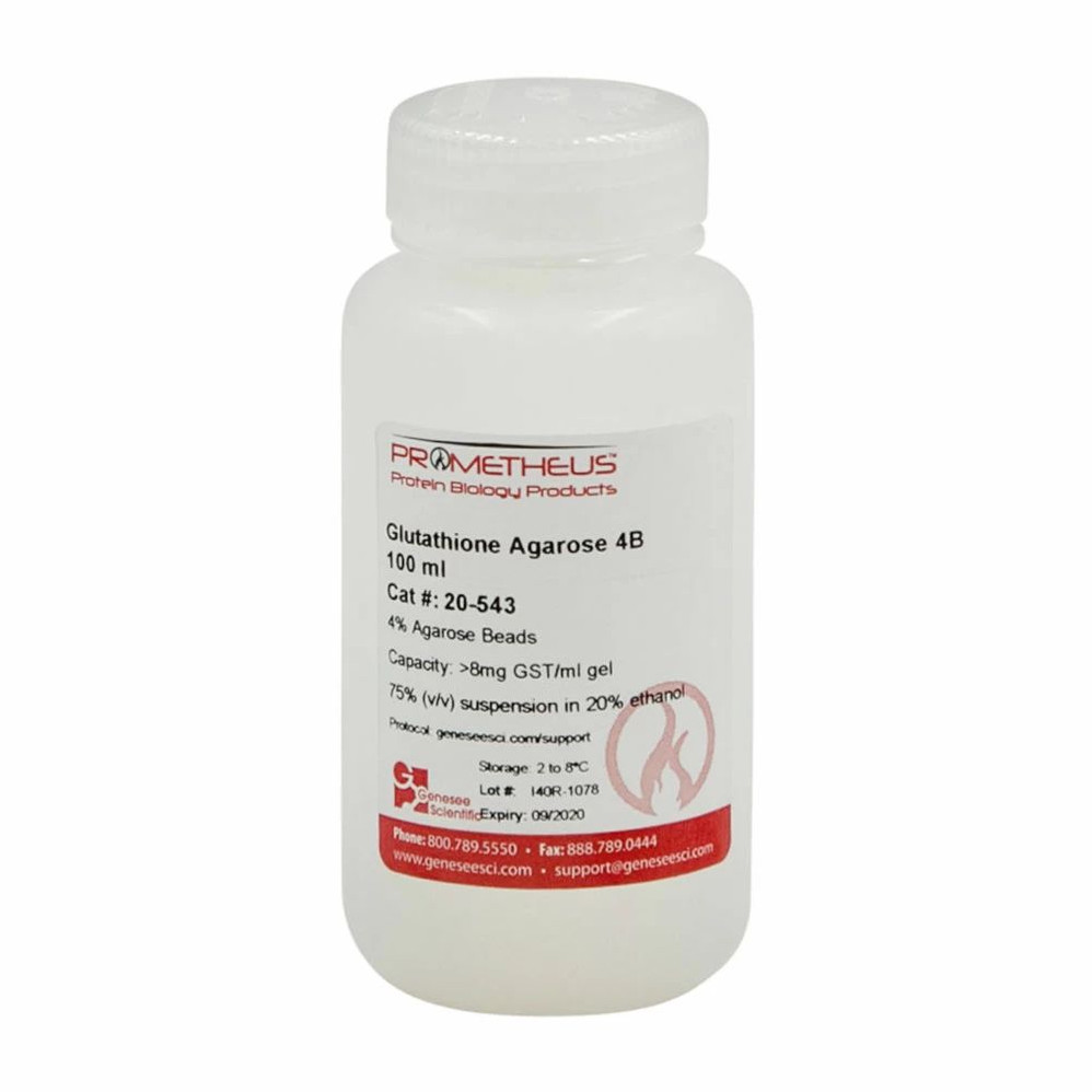 Glutathione Agarose 4B 4% Agarose Beads